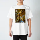 福猫山小屋の美しい木々 スタンダードTシャツ