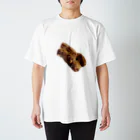 epinupaのかくに Regular Fit T-Shirt