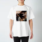 namuhatimanの空を飛ぶ鷲 スタンダードTシャツ