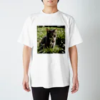 安達聖也の草むらの猫 Regular Fit T-Shirt