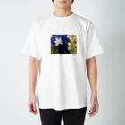 MomoTakaのいろいろな紫陽花たち スタンダードTシャツ