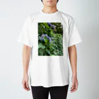 リングロングの紫陽花の絵　Tシャツ スタンダードTシャツ