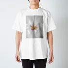 lumièreー光の桜Ⅳ スタンダードTシャツ