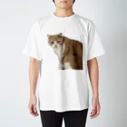 Mashlyのマシロくん猫グッズ スタンダードTシャツ