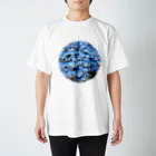 耀い気分のBlue of Nemophila  スタンダードTシャツ