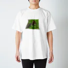 komorebi-9の草原の猫 Regular Fit T-Shirt