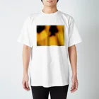 kokoroの夢すみれ Regular Fit T-Shirt