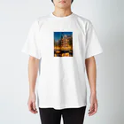 AQUAMETAVERSEのライトアップが豪華なホテル　ラフルール　1859 スタンダードTシャツ