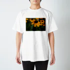 ドローイングGalleryの花　ルドベキア スタンダードTシャツ