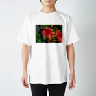 ドローイングGalleryの花　ノウゼンカズラ スタンダードTシャツ