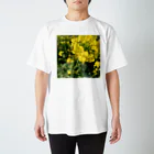 ぐうこの菜の花畑 スタンダードTシャツ