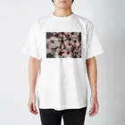 otootoのびっくふらわーソックス Regular Fit T-Shirt