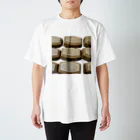 ゲドテコデータプールセンターの茶3号 Regular Fit T-Shirt