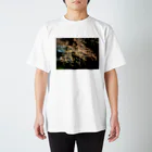 T's regularのSAKURA Regular Fit T-Shirt