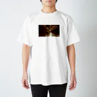 OWLCOIN ショップのEthereum イーサリアム Regular Fit T-Shirt