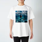 AQUAMETAVERSEのモルジブの大海原で人魚が泳いでいますsanae2074 スタンダードTシャツ