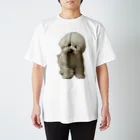 WHHGHHのぼく、かわいいやろ？ Regular Fit T-Shirt