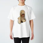 🐼ぷくぷくぱんだ🐾のふうたさん スタンダードTシャツ