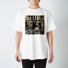 longtail_tのPlague of Athens (430–426 BC) スタンダードTシャツ