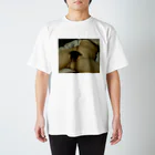 ankogasukidaの起源Tシャツ Regular Fit T-Shirt