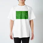 EagleValleyのKAWAKI_g スタンダードTシャツ