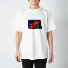 a1 factoryの空飛ぶホウボウ Regular Fit T-Shirt