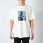 翔ちゃんのちゃいろちゃん Regular Fit T-Shirt