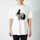 🐇のんくく🐇(❤️くろえ君❤️)のパンダうさぎ スタンダードTシャツ