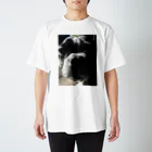 ｶｰｸっすのぼすとん Regular Fit T-Shirt