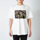 お花畑の春の桜 スタンダードTシャツ