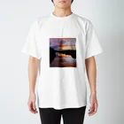 sol_JのIRUMA_River TOYOMIZU Regular Fit T-Shirt