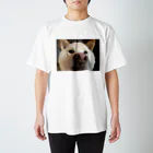 チームらんまるくん🐶の鼻でからんまるくん スタンダードTシャツ