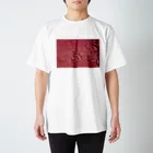 EagleValleyのKAWAKI_r Regular Fit T-Shirt