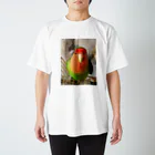 JADEのインコ界の用心棒、ジェイド之介 Regular Fit T-Shirt