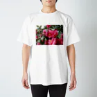 fun timeのPink camelia blooming カメリア スタンダードTシャツ