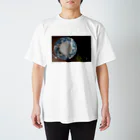 nahoki1109のアンティークのプレート Regular Fit T-Shirt