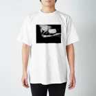 視覚世界の哲学的指示 Regular Fit T-Shirt