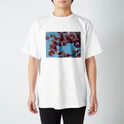 fun timeのCherry blossoms in this year 今年の桜 Regular Fit T-Shirt