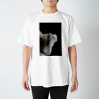 Catoneの猫写真シリーズ スタンダードTシャツ