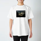 堂堂堂。の夕焼け小焼け Regular Fit T-Shirt