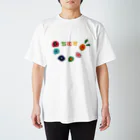 ちむすのテスト スタンダードTシャツ