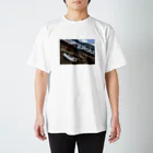 K_Aの世代交代 スタンダードTシャツ