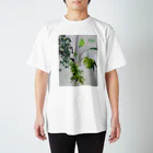 橋本若葉の小部屋の涼しい顔でこちらを見る・・・ スタンダードTシャツ