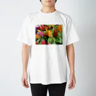 COOKYのケイトウ Regular Fit T-Shirt