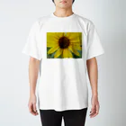 Dreamscape(LUNA)の太陽とお友達！！ スタンダードTシャツ