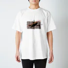 ζWalker/Shiunの単調ねこ関数 スタンダードTシャツ