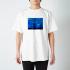 kknkakのジンベイザメの写真 スタンダードTシャツ