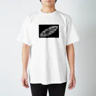 ζWalker/Shiunの4-dimension Regular Fit T-Shirt