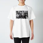 kio photo worksのflowers  スタンダードTシャツ