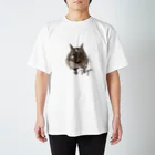 kanako-mikanのデグーのチョビ Regular Fit T-Shirt